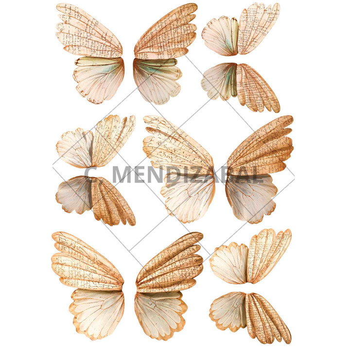 copy of 